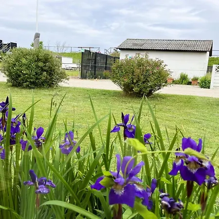 Neea - 40m From The Sea By Interhome Holiday home Otterup